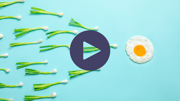 4 Week Fertility Programme | Nutrition For Egg & Sperm Health With Isabelle Obert