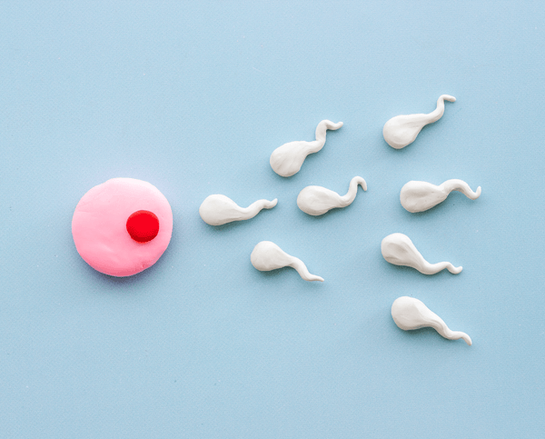 CoQ10 and Male Fertility: How It Supports Sperm Health