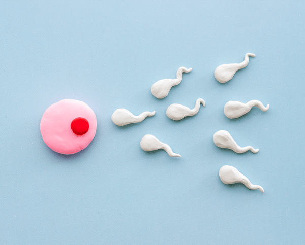 CoQ10 and Male Fertility: Sperm Motility, Dosage and What the Research Says