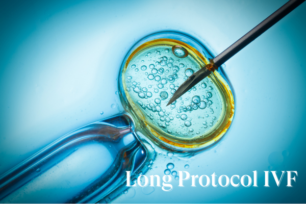 The Long Protocol IVF: A Detailed Guide to Enhancing Fertility Treatment Success