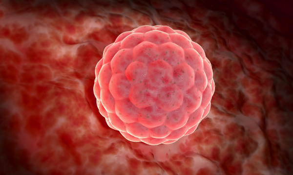 Preparing for Implantation: Tips for Optimising Uterine Lining Health