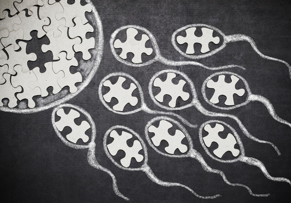 Chalkboard illustration of puzzle-piece sperm swimming toward a puzzle-piece egg