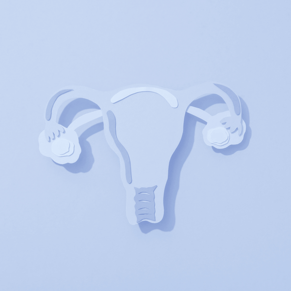 White paper cutout illustration of a uterus and ovaries