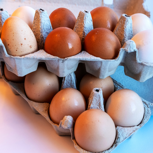 Choline For Fertility