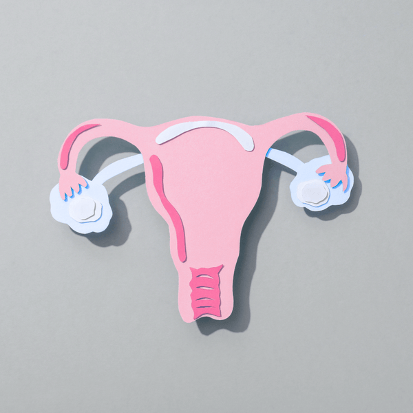 Understanding Menstrual Changes After Egg Retrieval