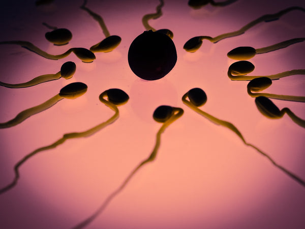 Age and IVF: Understanding the link
