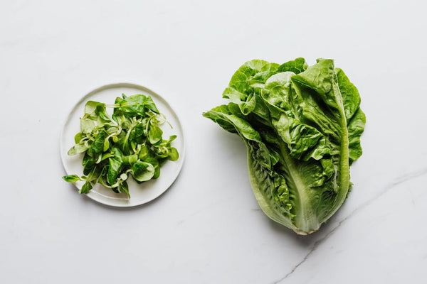 Plate of mixed lettuce leaves and romaine lettuce on a marble surface