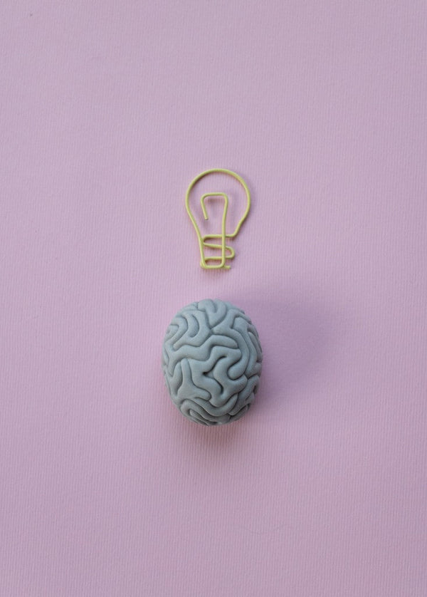 Model brain and lightbulb icon made from clay on a pink background