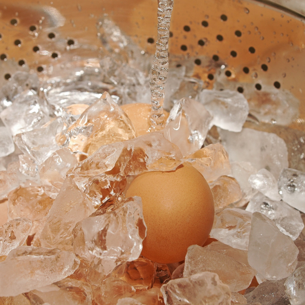 Social Freezing: Preserving Fertility for Tomorrow