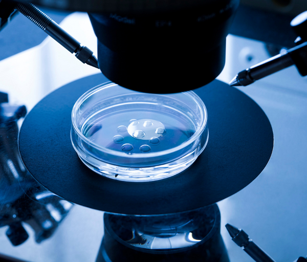 Understanding Egg Freezing