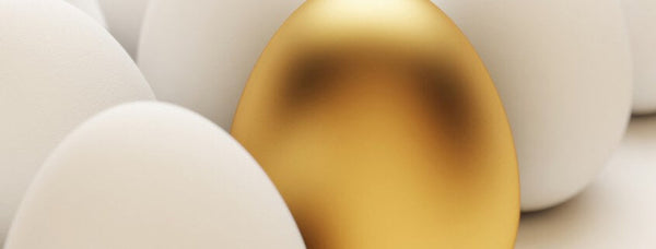 Close-up of a golden egg nestled among a group of white eggs