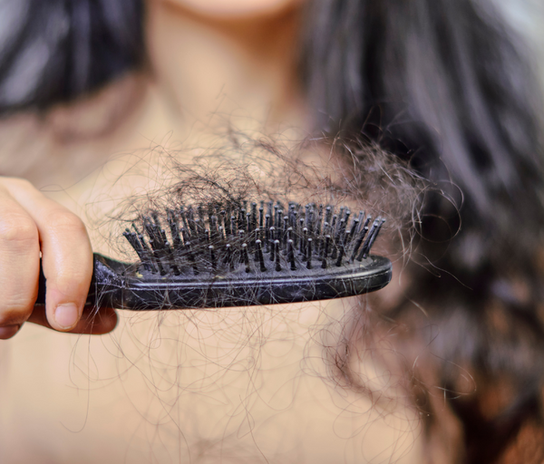Close-up of a hairbrush filled with shed hair held near a person's shoulder