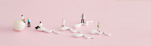 Miniature figurines of doctors standing beside clay models of sperm and an egg on a pink background