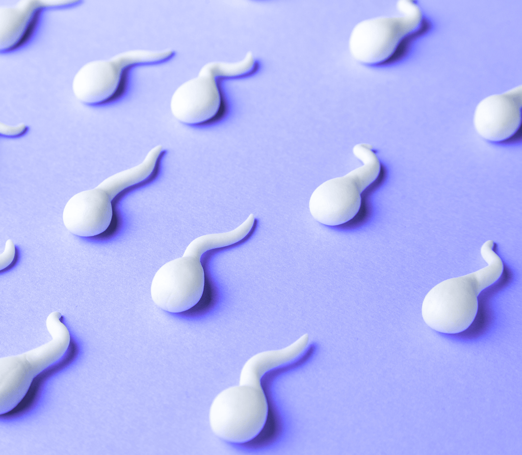 Male Fertility Matters: How to Improve Sperm Health Naturally