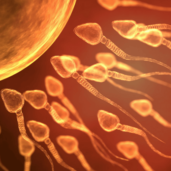 Can Vitamin C Support Male Fertility? Sperm Quality, Motility and DNA Protection Explained