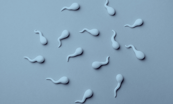 CoQ10 for Male Fertility: How Ubiquinol Supports Sperm Health and Motility
