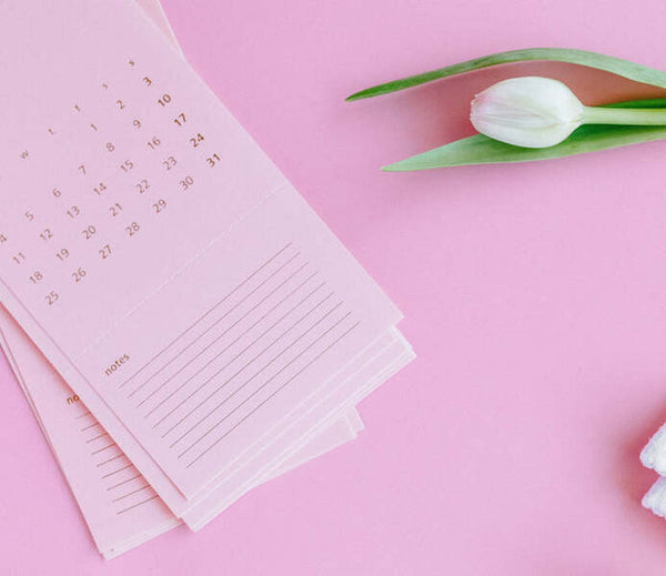 Pink calendar notepad beside a white tulip on a pink background