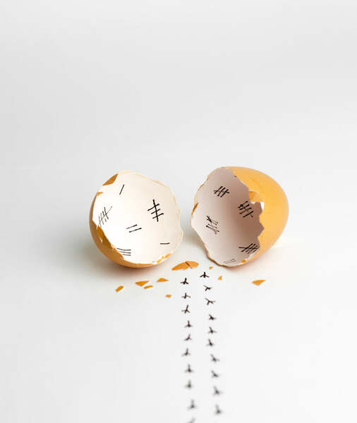 Egg Quality