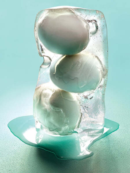 Three eggs frozen inside a melting block of ice on a teal background