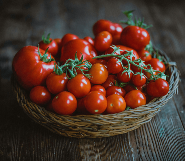 Woven basket of red tomatoes on a rustic wood table