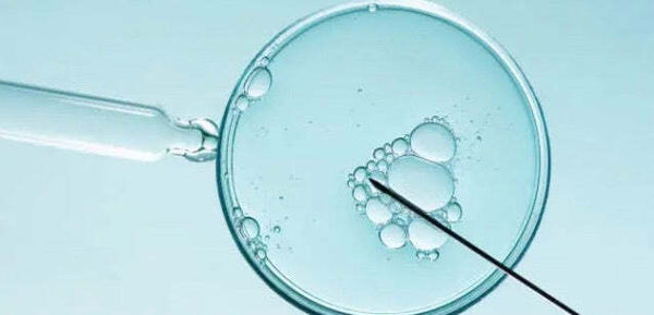 Is Egg Freezing Worth the Investment? Analysing the Costs and Benefits