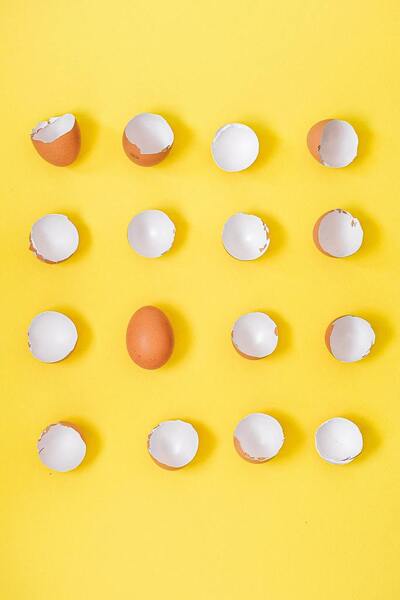 Grid of cracked eggshell halves and one whole egg on a yellow background