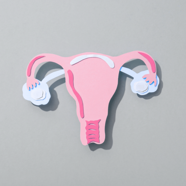 Understanding Menstrual Changes After Egg Retrieval