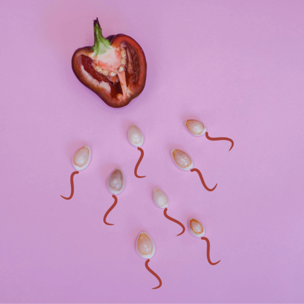 Seeds arranged to look like sperm cells swimming towards a halved red pepper on a pink background