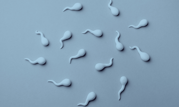 White 3D-rendered sperm cells scattered across a pale blue background