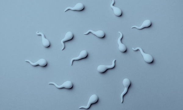CoQ10 for Male Fertility: How Ubiquinol Supports Sperm Health and Motility
