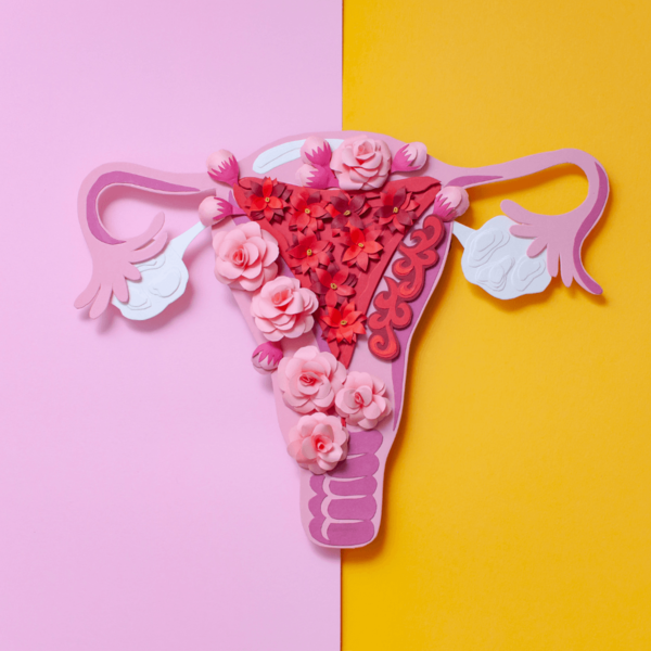 Paper craft illustration of a uterus decorated with pink and red flowers on a split pink and yellow background