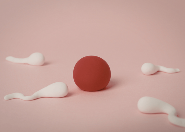 Is Choline Important for Fertility and Preconception?