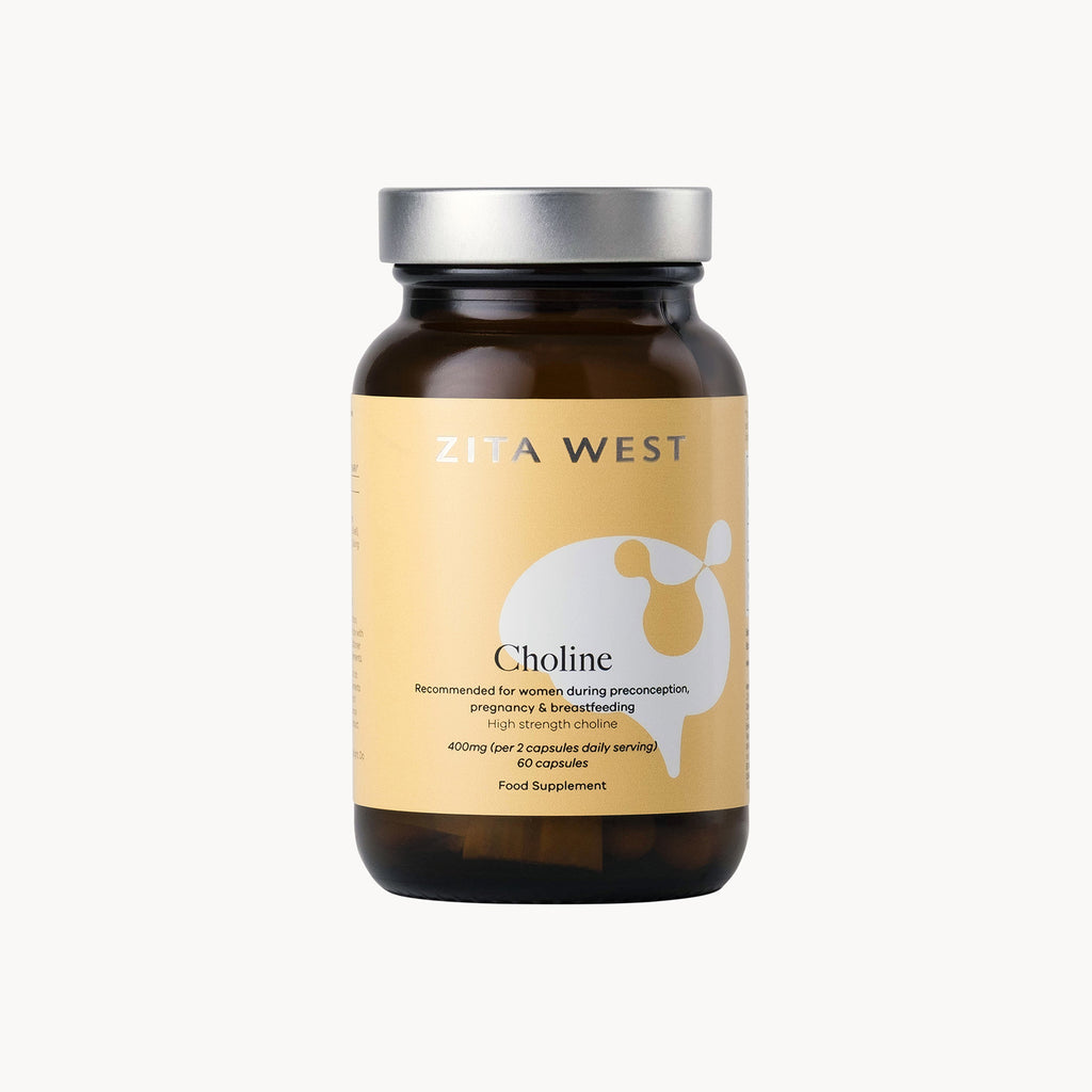 Choline Essential Nutrient Fertility Pregnancy Foetal Development