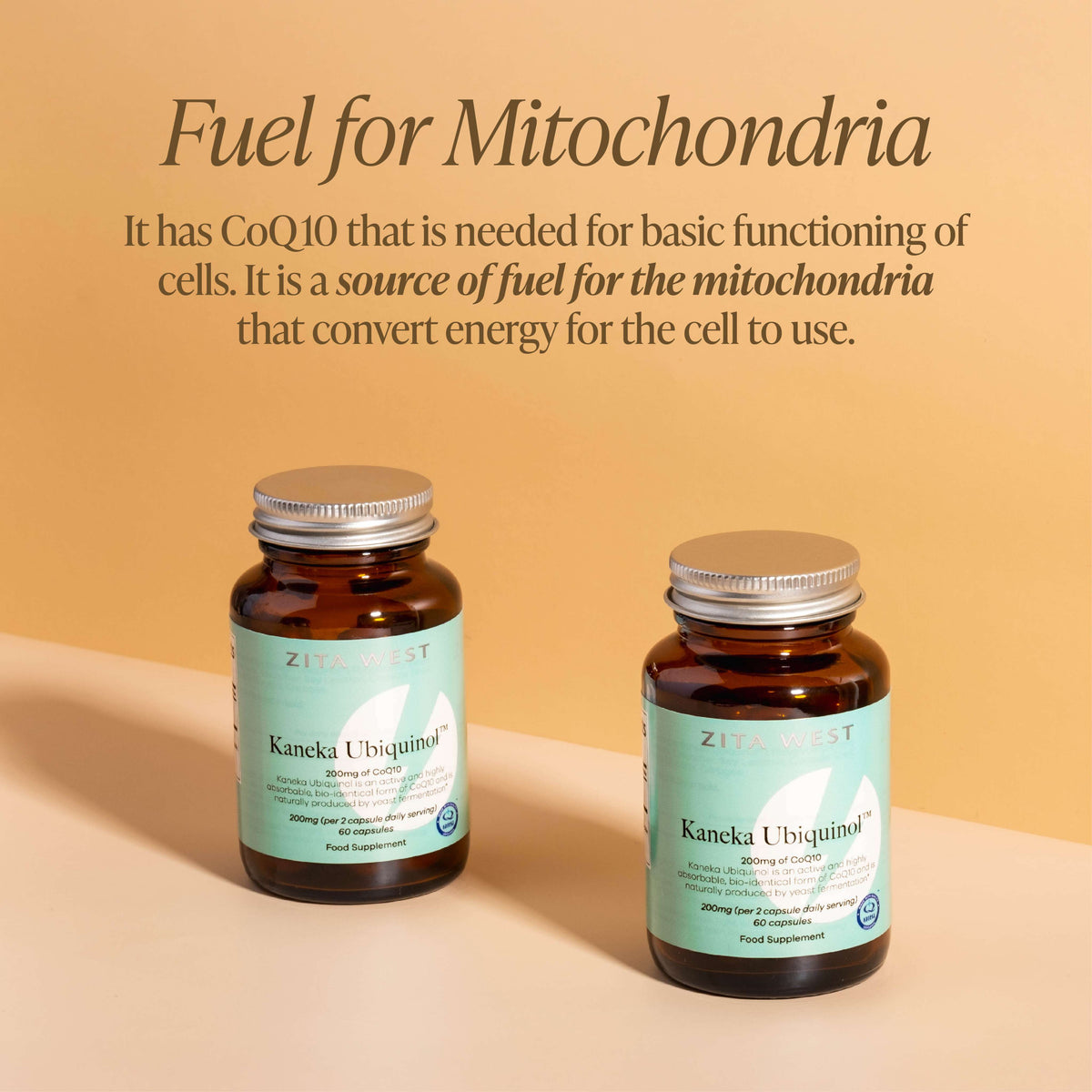 Fuel for the mitochondria. Zita West Kaneka Ubiquinol CoQ10