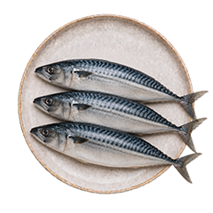 Molecularly Distilled Fish Oil