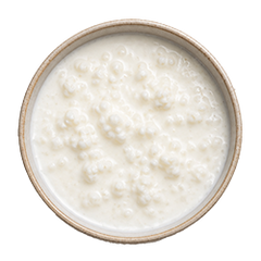 Bifidobacterium longum