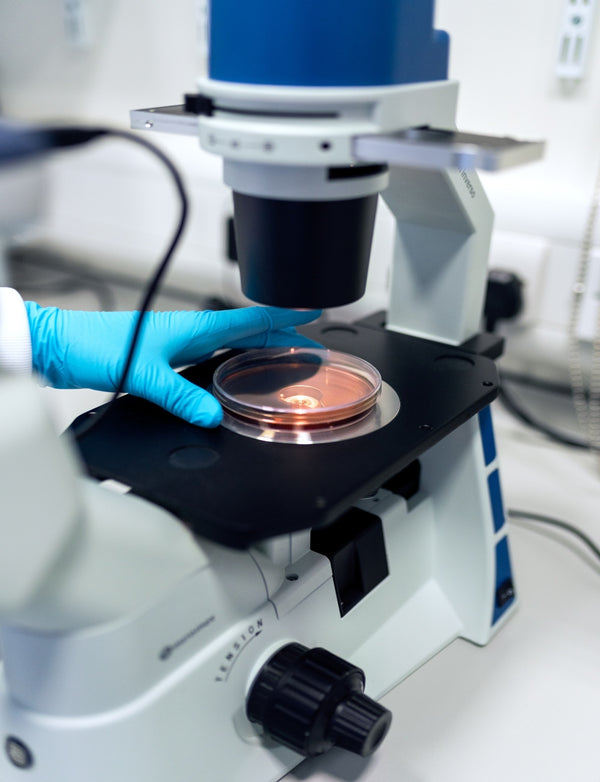 Zita West IVF Support Supplements